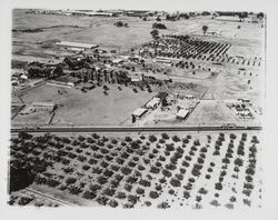 Aerial view of area near Shiloh Road and Highway 101, north of Santa Rosa, California, 1961