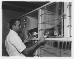 Myron H. Schaffer inside the Redwood Veterinary Clinic, Santa Rosa, California, 1964