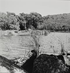 Lakeside view of Lake Ilsanjo