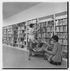 Shelving books at the Geyserville Library, Geyserville, California, 1971