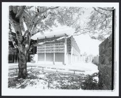 Courtyard of the Sonoma County Library, Santa Rosa, California, 1967