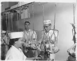 Federal inspector and workers with chicken carcasses at the California Poultry, Incorporated, Fulton, California, 1958