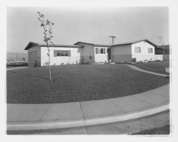 Model homes on Allison Drive, Rohnert Park, California, 1958