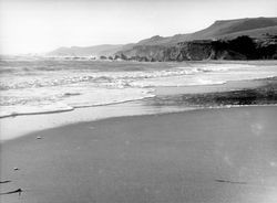 Sonoma County Coastline north of Bodega Bay, California, 1970
