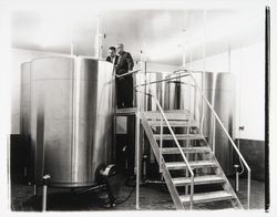 Inspecting vats in the Pepsi-Cola bottling plant, Santa Rosa, California, 1960