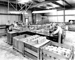 People doing various jobs at the MGM Brakes plant