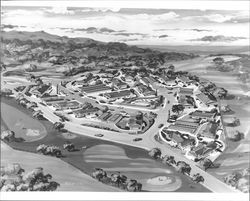 Architects aerial drawing of Wikiup Greens condominiums, Santa Rosa, California, 1963