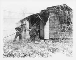 Burning down buildings in 2900 block of 4th Street, Santa Rosa, California, 1957