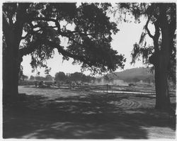 Constructing roads at Oakmont, Santa Rosa, California, 1963