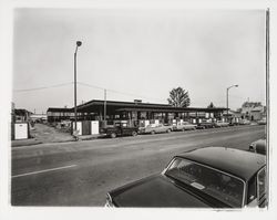 View of the Sonoma County Library under construction, Santa Rosa, California, 1965