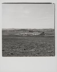 Wickes Lumber, Petaluma, California, 1977