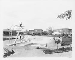 Pool area at the Flamingo Hotel, Santa Rosa, California, 1959