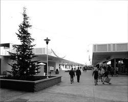 Exterior views of Coddingtown Shopping Center at Christmas, Santa Rosa, California, March 18, 1962