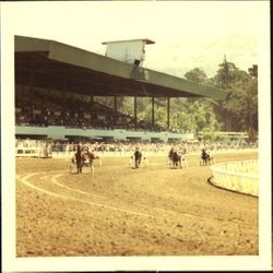 Horse race at the Fair Grounds