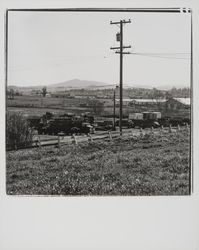 Wickes Lumber, Petaluma, California, 1977