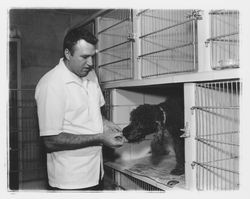 Myron H. Schaffer inside the Redwood Veterinary Clinic, Santa Rosa, California, 1964