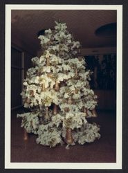 Christmas tree at Sonoma Mortgage, Santa Rosa, California, 1970