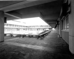 Views of the courtyard at the Sonoma County Hall of Justice