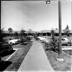 Parking area at Sonoma Marketplace, Sonoma, California, 1980