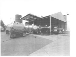 Trucks delivering milk to Petaluma Cooperative Creamery, Petaluma, California, 1963