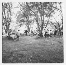 Barbecue at Annadel State Park, Santa Rosa, California, 1971