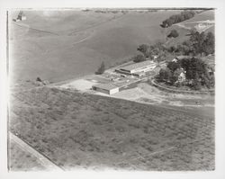 Aerial view of Ursuline Convent, Santa Rosa, California, 1958