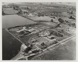 Aerial view of the Santa Rosa sewage treatment plant, Santa Rosa, California, 1966