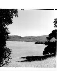 View of unidentified meadow at AnnadelState Park, Santa Rosa, California, 1971