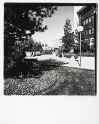 East side of Courthouse Square, Santa Rosa, California, 1977