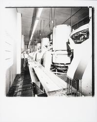 Dried apple line at the Sebastopol Cooperative Cannery, Sebastopol, California, 1978