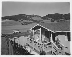 Backyards of Saint Francis Acres model homes, Santa Rosa, California, 1958
