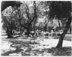 Picknicking at Howarth Park, Santa Rosa, California, 1970