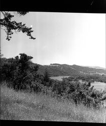 Views of Lake Ilsanjo from the surrounding hills of Annadel Farms, Santa Rosa, California, November 22, 1968