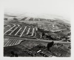 Aerial view of Rohnert Park, California, 1962