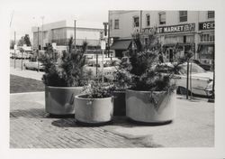 Third Street side of Courthouse Square, Santa Rosa , California, 1968