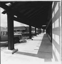 Shops at Stony Point Shopping Center, Santa Rosa , California, 1982