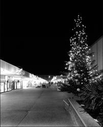 Exterior views of Coddingtown Shopping Center at Christmas, Santa Rosa, California, March 18, 1962