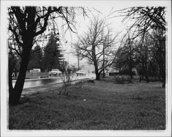 Mendocino Ave. at intersection of Steele Lane, Santa Rosa, California, 1958