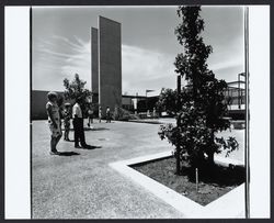 Courtyard of City Hall, Santa Rosa, California, 1969