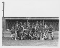 Sonoma Tigers Little League team at the Rincon Valley Little League Park, Santa Rosa, California, 1963