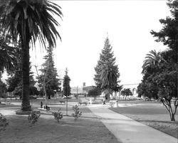 Healdsburg Plaza, Healdsburg, California, 1963