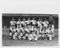 Dodgers Rincon Valley Little League team at the Rincon Valley Little League Park, Santa Rosa, California, 1963