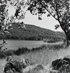 Lakeside view of Lake Ilsanjo