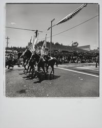 Mounted units in a Guerneville parade, Guerneville, California, 1978