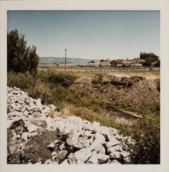 Willow Brook near Denman Flats and Ely Road, Petaluma, California, 1975