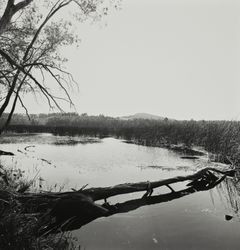 Lakeside view of Lake Ilsanjo