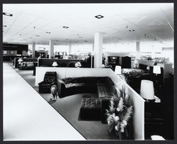 Furniture department at Sears, Santa Rosa, California, 1980