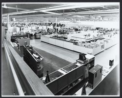 Unidentified Sonoma County department store, Sonoma County, California, 1951