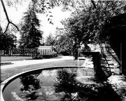 Pond at Burbank Gardens, Santa Rosa, California, 1962