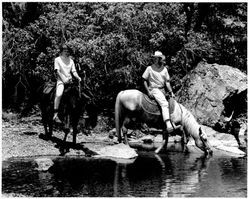 Horseback riding at the Vineyard Club